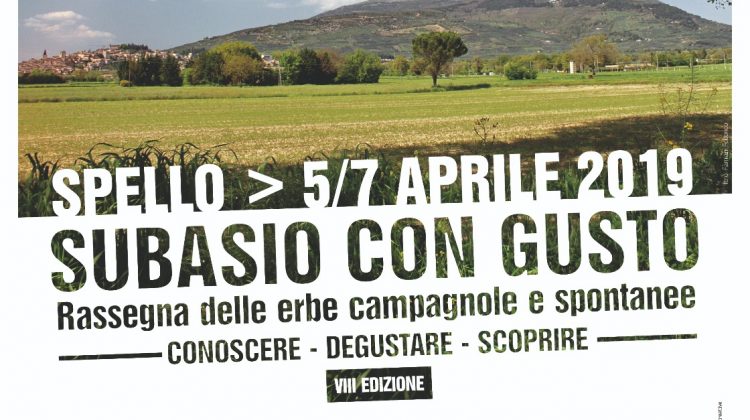 subasio con gusto 2019 spello perugia