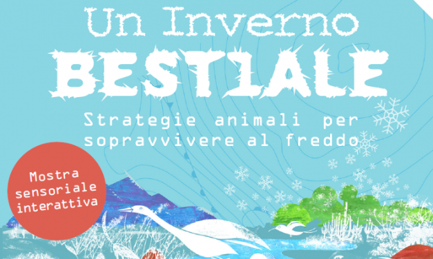 Un inverno bestiale al POST - Perugia